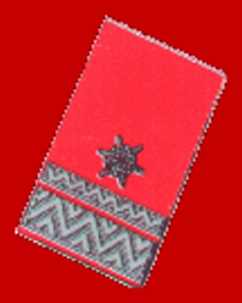 Dienstgrade bei der Feuerwehr